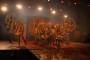 Thumbs/tn_Elf-Elf 2016 223.jpg